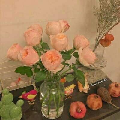 江南APP手机app下载