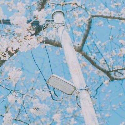 天博下载地址截图