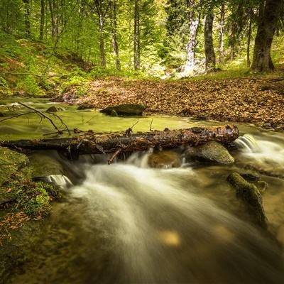 打鱼下载手机app下载