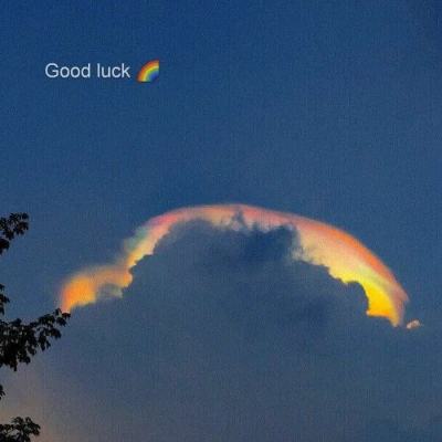 皇冠app官方版下载安卓